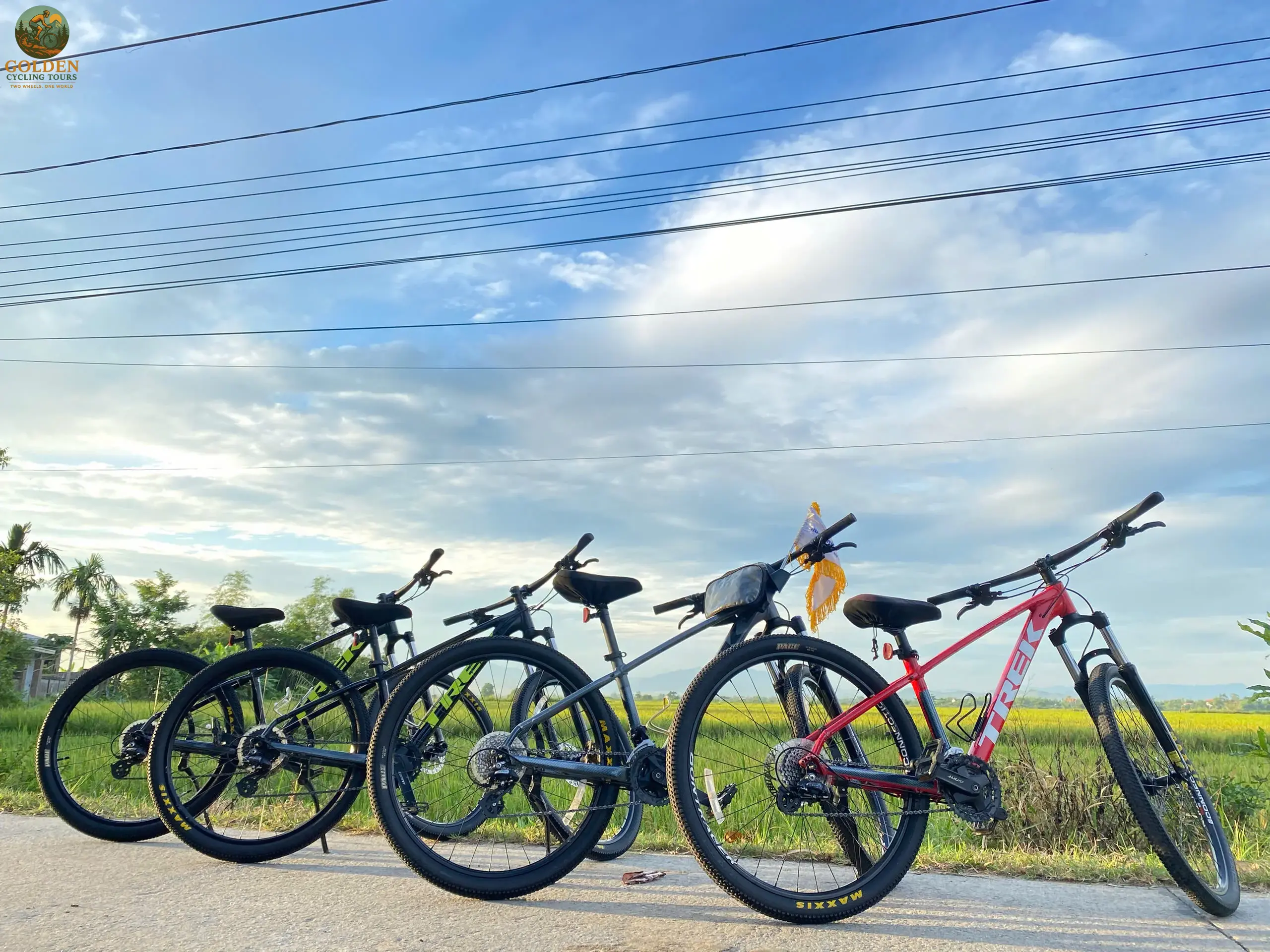 Half-Day Biking to Thuy Bieu Village: Garden Houses & River Cruise